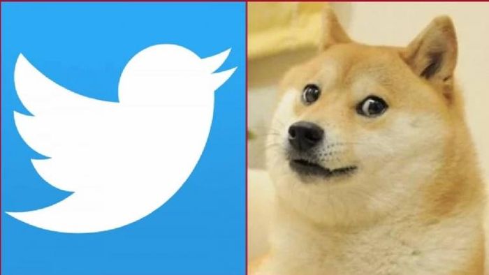 Elon Musk reinstates Twitter's iconic blue bird logo after brief dogecoin stint