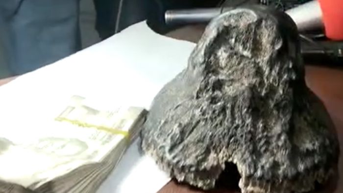 Rhino horn seized in Assam's Nagaon