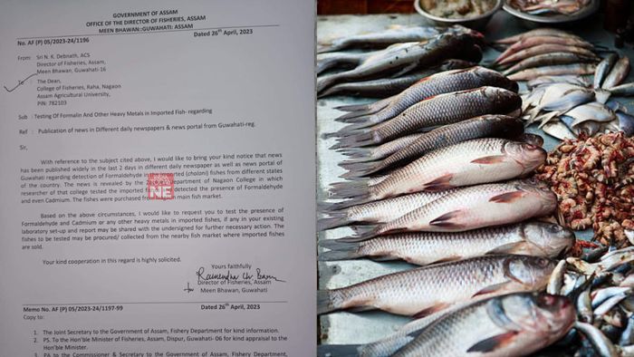 Assam minister ask authorities to probe into presence of formalin in imported fishes