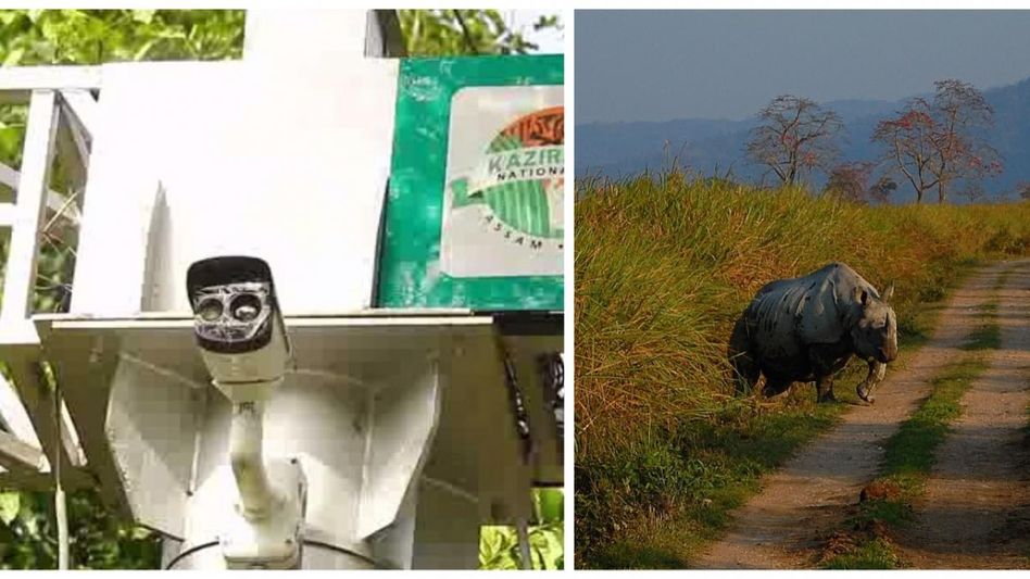 Assam: Kaziranga's endangered animals in peril as sensor cameras on wildlife corridors remain non-functional Assam: Kaziranga's endangered animals in peril as sensor cameras on wildlife corridors remain non-functional