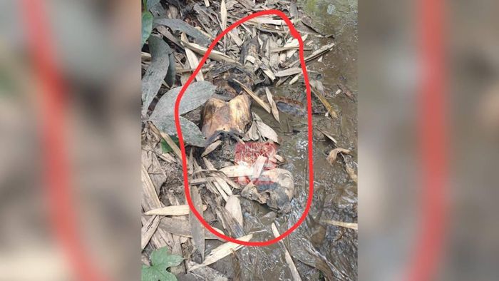 Meghalaya: Ri Bhoi police discover unidentified human skeletal remains from river