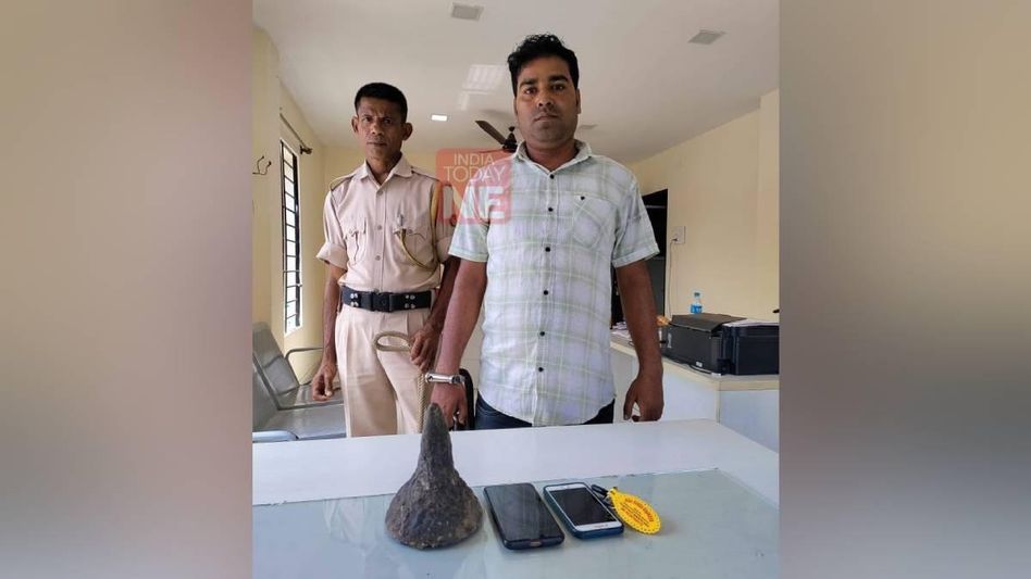 Assam: Illegal rhino horn trader falls in police trap, mobile phones including luxury vehicle seized Assam: Illegal rhino horn trader falls in police trap, mobile phones including luxury vehicle seized