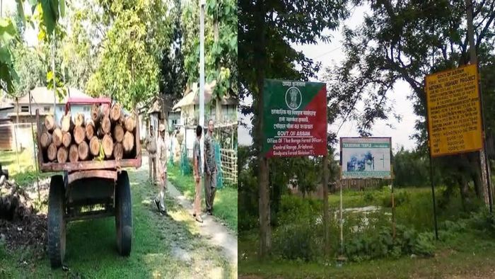 Assam DGP GP Singh paid a visit to Krishnai Reserve Forest under Goalpara district where one day ago a clash broke out between illegal timber smugglers and forest officials