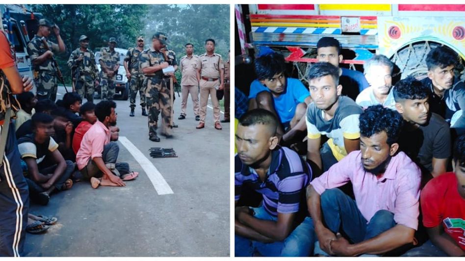 BSF seizes 86 Myanmar breed cattle, arrests 18 in Tripura BSF seizes 86 Myanmar breed cattle, arrests 18 in Tripura