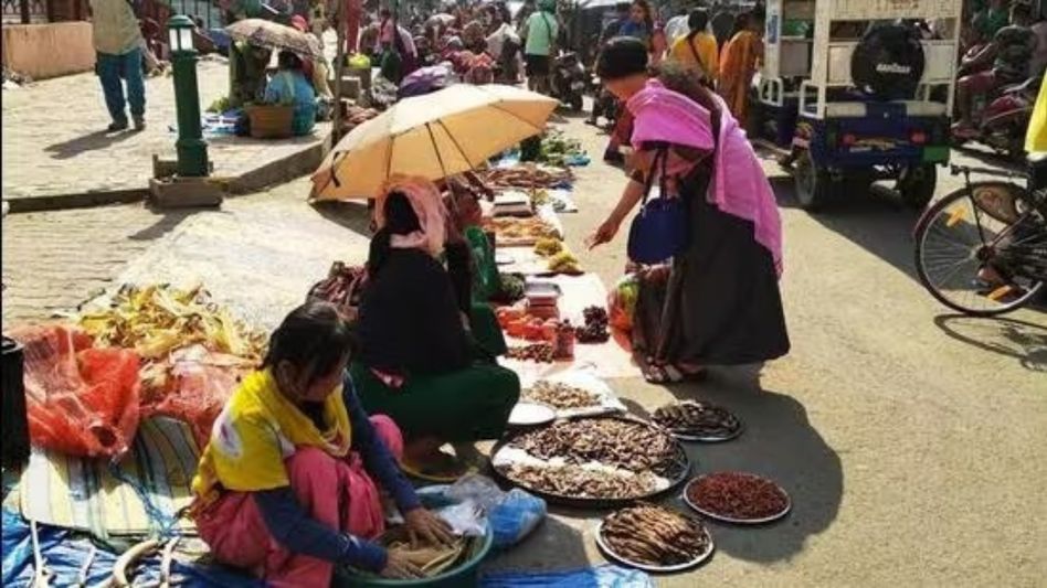 Manipur police destroy massive cache of narcotics in Imphal West Manipur police destroy massive cache of narcotics in Imphal West