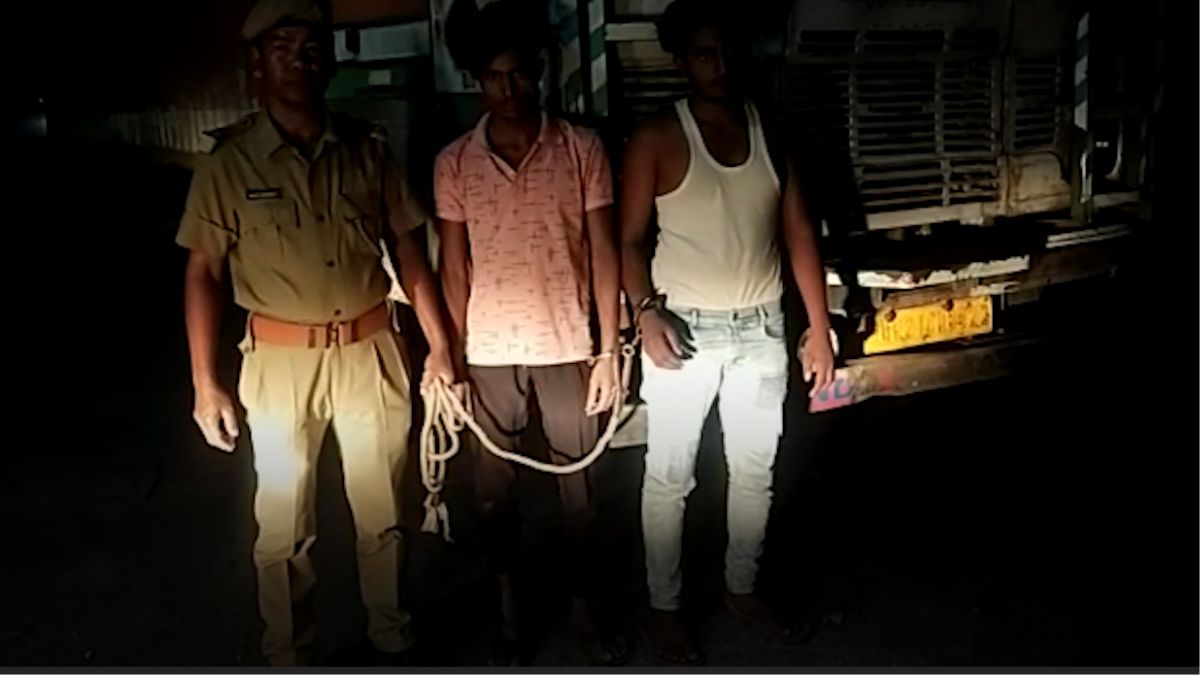 Burmese timber worth Rs 20 lakh seized in Srirampur, Assam