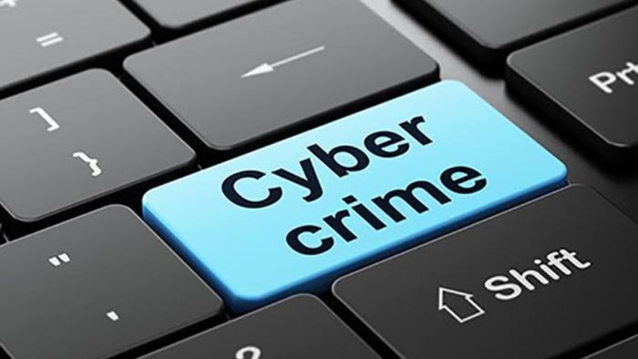 Sikkim government to set up separate police stations in each district for cyber crimes