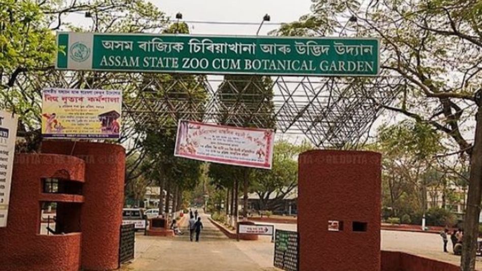 Assam State Zoo welcomes five new inmates Assam State Zoo welcomes five new inmates