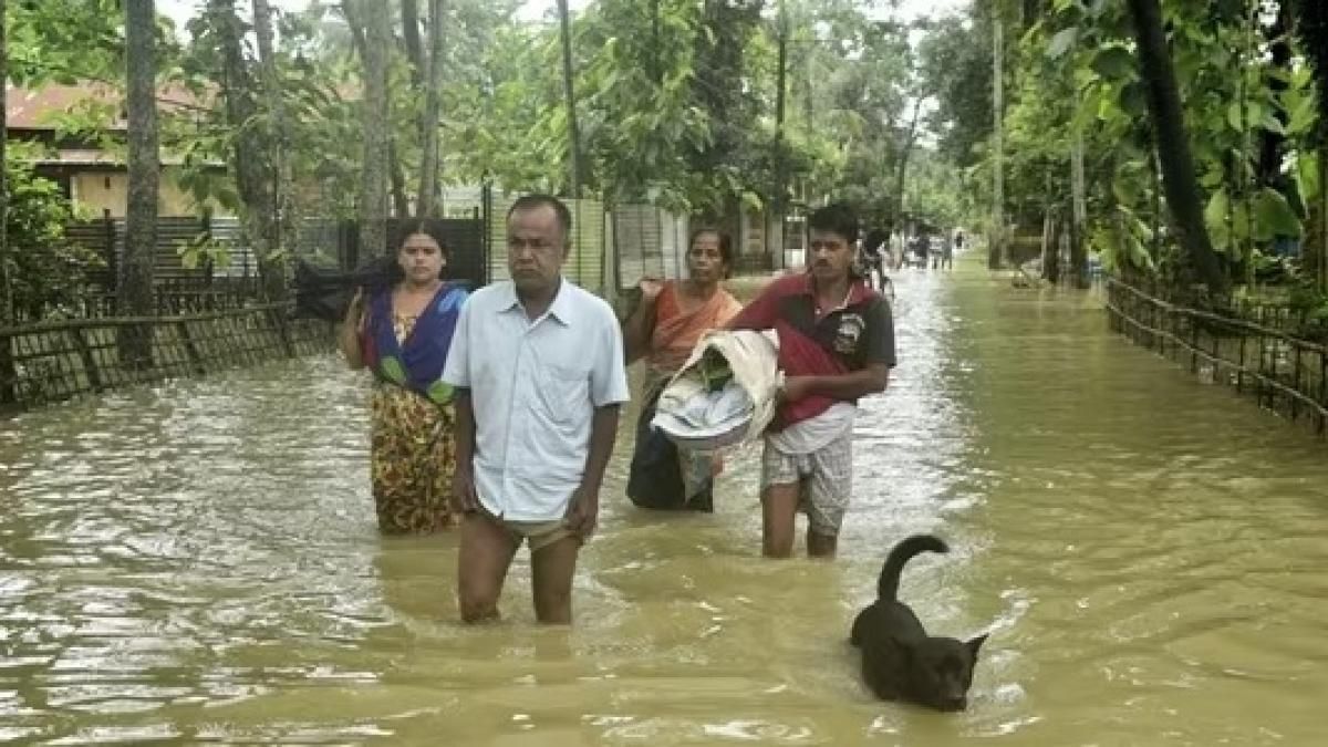 Assam floods impact thousands, no human casualties reported