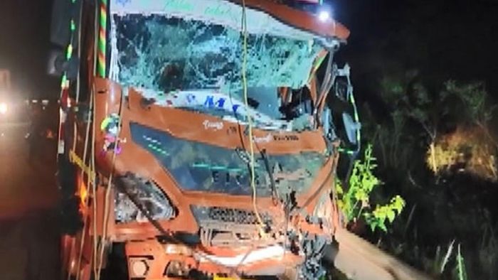 Three infant elephants killed in Andhra Pradesh’s Chittoor