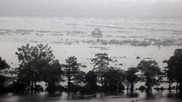 Flood havoc in Assam (File Photo)