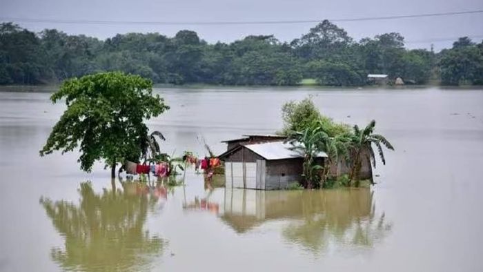 Flood situation worsens in Upper Assam; embankments collapse in Jorhat, several villages submerged