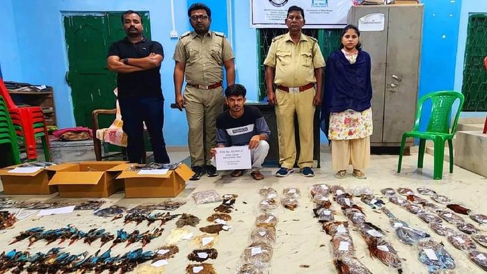 Man held with over 1500 dead exotic birds