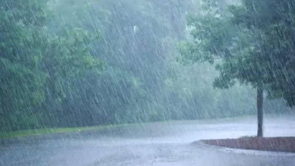 Nagaland braces for monsoon deluge: Moderate to heavy rainfall forecasted Nagaland braces for monsoon deluge: Moderate to heavy rainfall forecasted