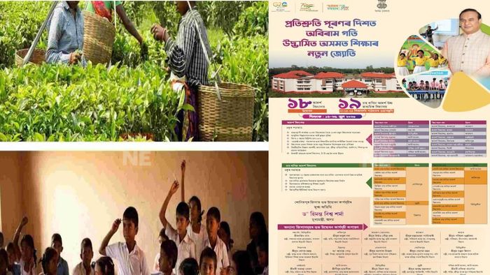 PM Modi welcomes Assam government's initiative to establish schools in tea gardens