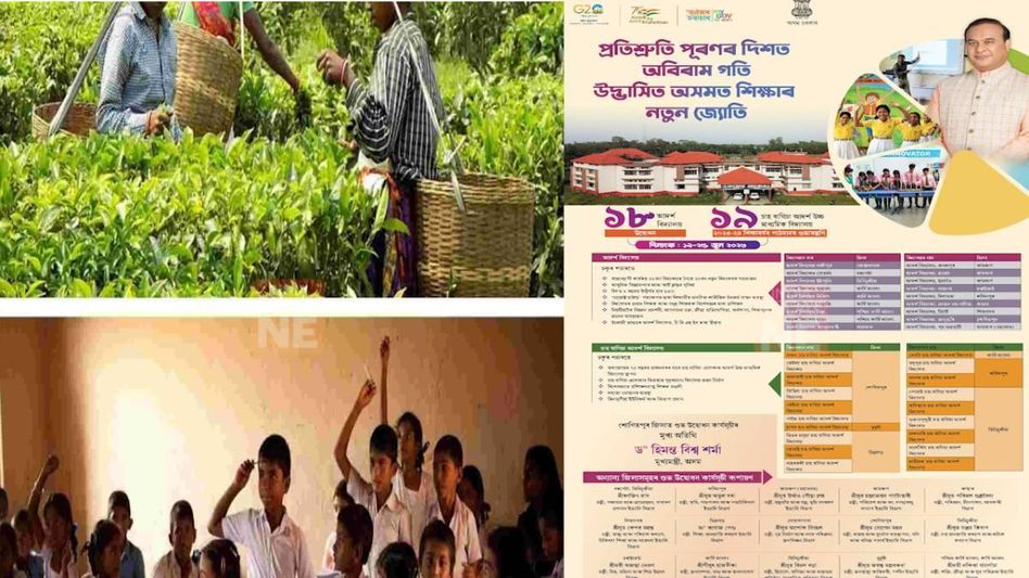 PM Modi welcomes Assam government's initiative to establish schools in tea gardens PM Modi welcomes Assam government's initiative to establish schools in tea gardens