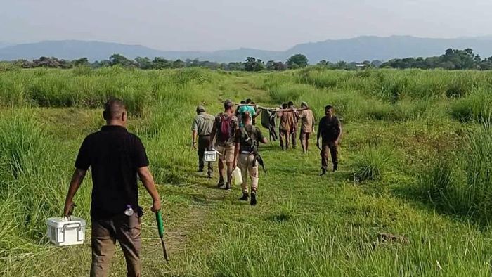 Tiger found dead in Kaziranga National Park