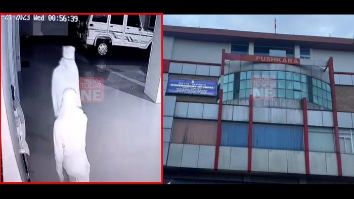 Armed thieves attempt to steal cars from local dealerships in Dibrugarh