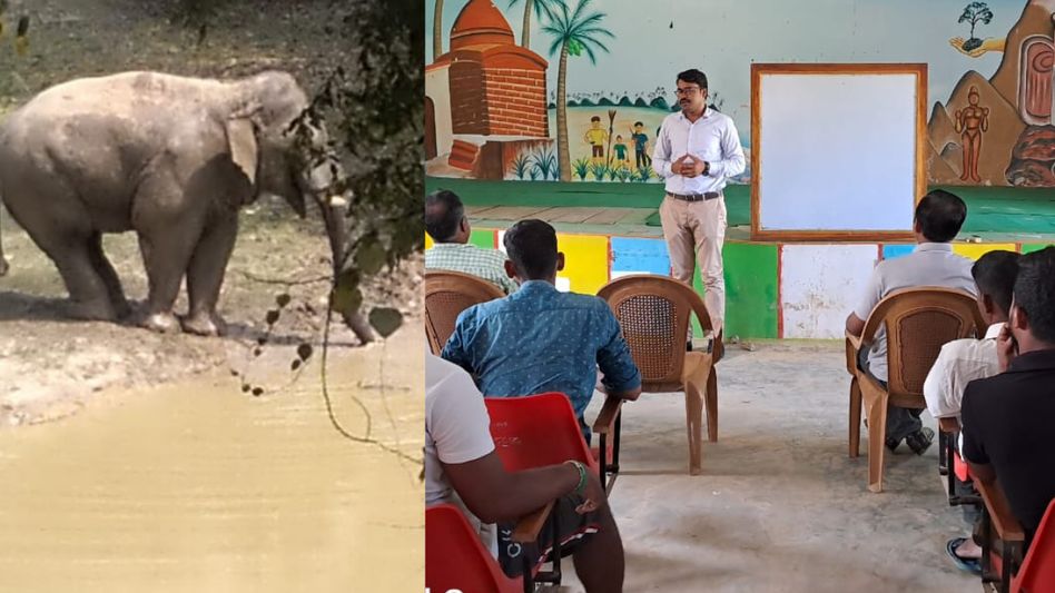 Tripura to use bio fencing with 'Thorny Bamboo' to safeguard villages from wild elephants Tripura to use bio fencing with 'Thorny Bamboo' to safeguard villages from wild elephants