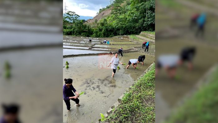 Nagaland cabinet minister Salhoutuonuo Kruse takes up farming