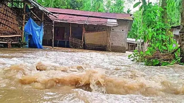 Assam Floods: No loss of human life reported, 6 districts affected