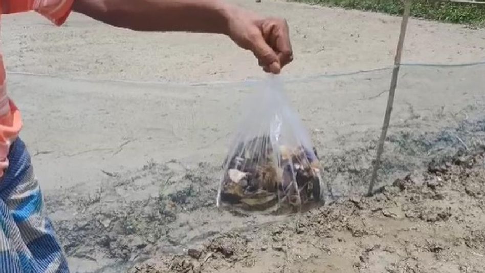 Assam: Hundreds of birds killed by poison in Bongaigaon Assam: Hundreds of birds killed by poison in Bongaigaon