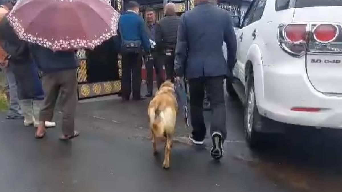 Meghalaya: Explosion rocks house in Smit, one dead