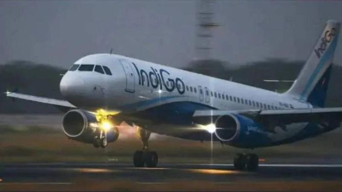 Indigo Flight (representative image)