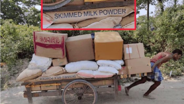 Skimmed Milk Powder