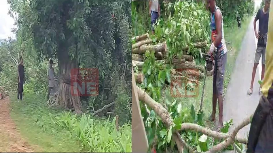 Manipur police destroy massive cache of narcotics in Imphal West Manipur police destroy massive cache of narcotics in Imphal West