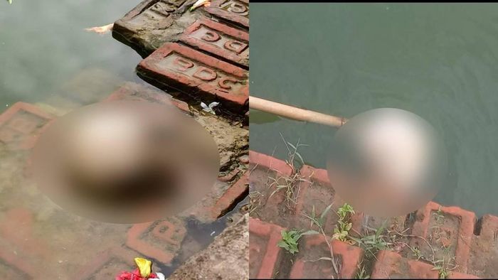 Human skull recovered from Tripuri Sundari Temple