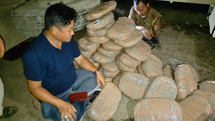 Tripura Police seized cannabis worth Rs 5 lakh from Chakmaghat area under Teliamura Sub-division of Khowai district.