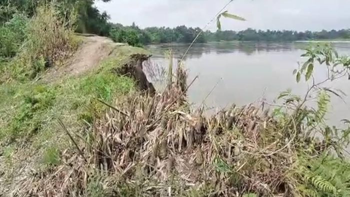 Assam: Bongaigaon villagers face erosion threat from Manas River, urge government to complete embankment work