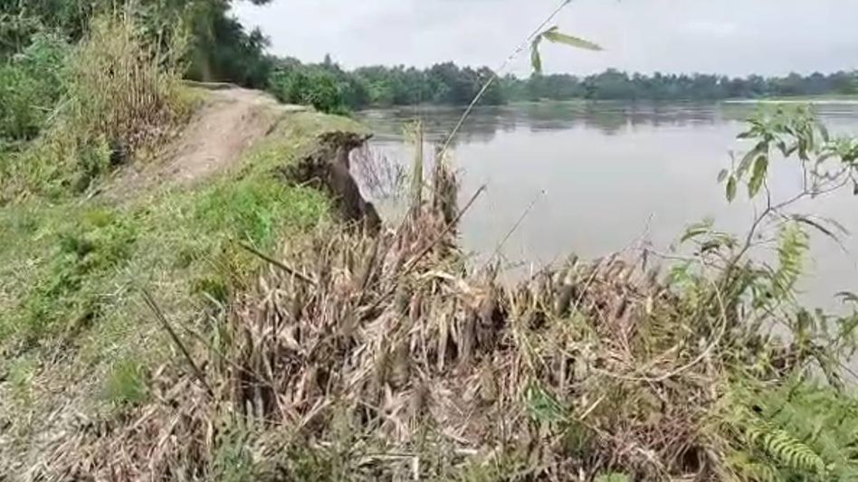Manipur police destroy massive cache of narcotics in Imphal West Manipur police destroy massive cache of narcotics in Imphal West
