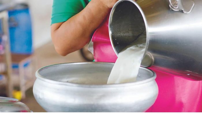 Karnataka Government hikes milk prices to "help farmers"