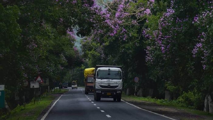 Ban on plying of heavy vehicles through Kaziranga National Park corridor