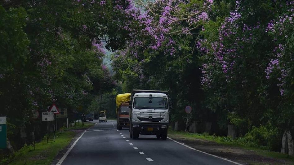 Assam: Section 144 imposed at Kaziranga National Park to ensure safety of animals Assam: Section 144 imposed at Kaziranga National Park to ensure safety of animals