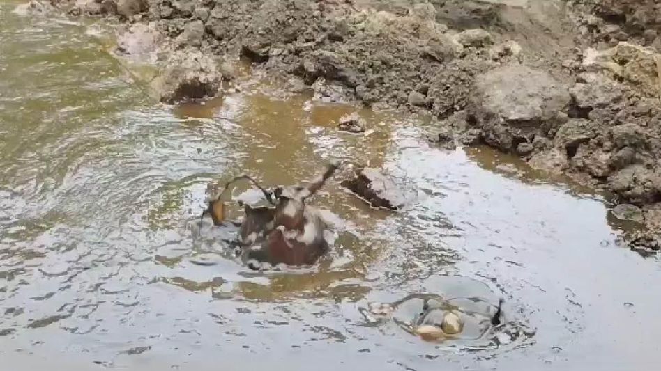 Assam: ONGC pipeline burst cause oil spillage in Sivasagar's main road, locals allege poor maintenance Assam: ONGC pipeline burst cause oil spillage in Sivasagar's main road, locals allege poor maintenance