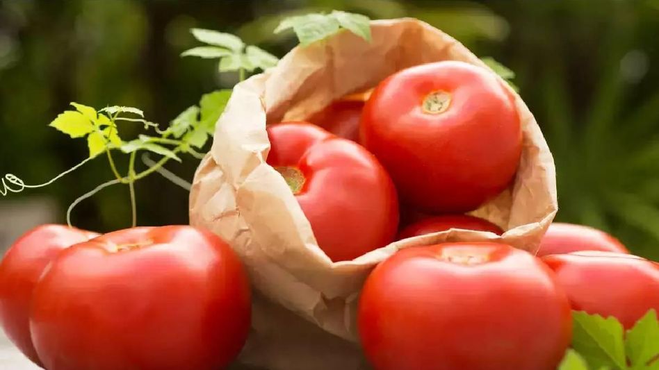 Tomato prices surge over 300 per cent in India Tomato prices surge over 300 per cent in India