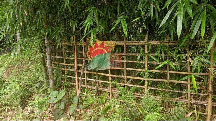 Assam: Partially torn ULFA-I flag found affixed to bamboo fence in Kokrajhar
