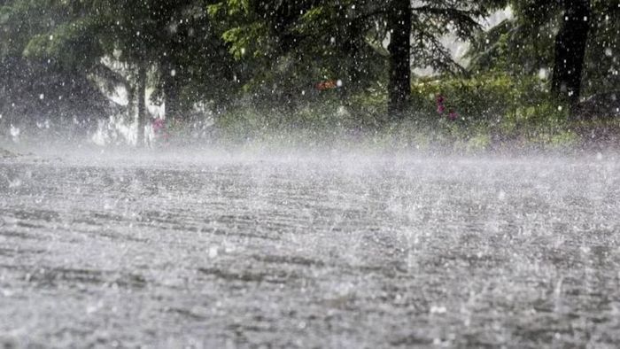 Meteorological department forecast heavy rainfall activity over Assam