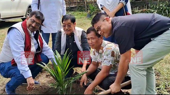 Arunachal kick starts mega palm oil plantation in Papum Pare district