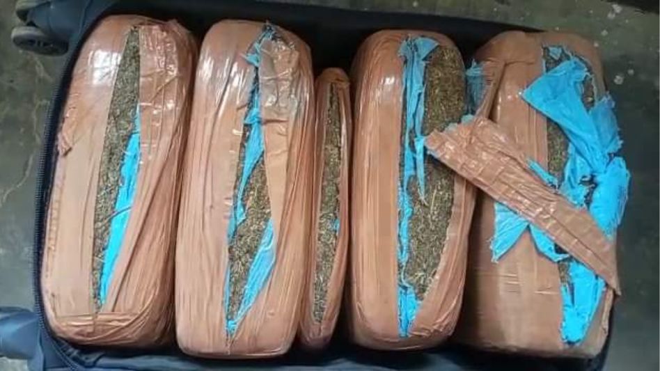 Tripura police seize 41 kg of cannabis at Agartala Airport  Tripura police seize 41 kg of cannabis at Agartala Airport