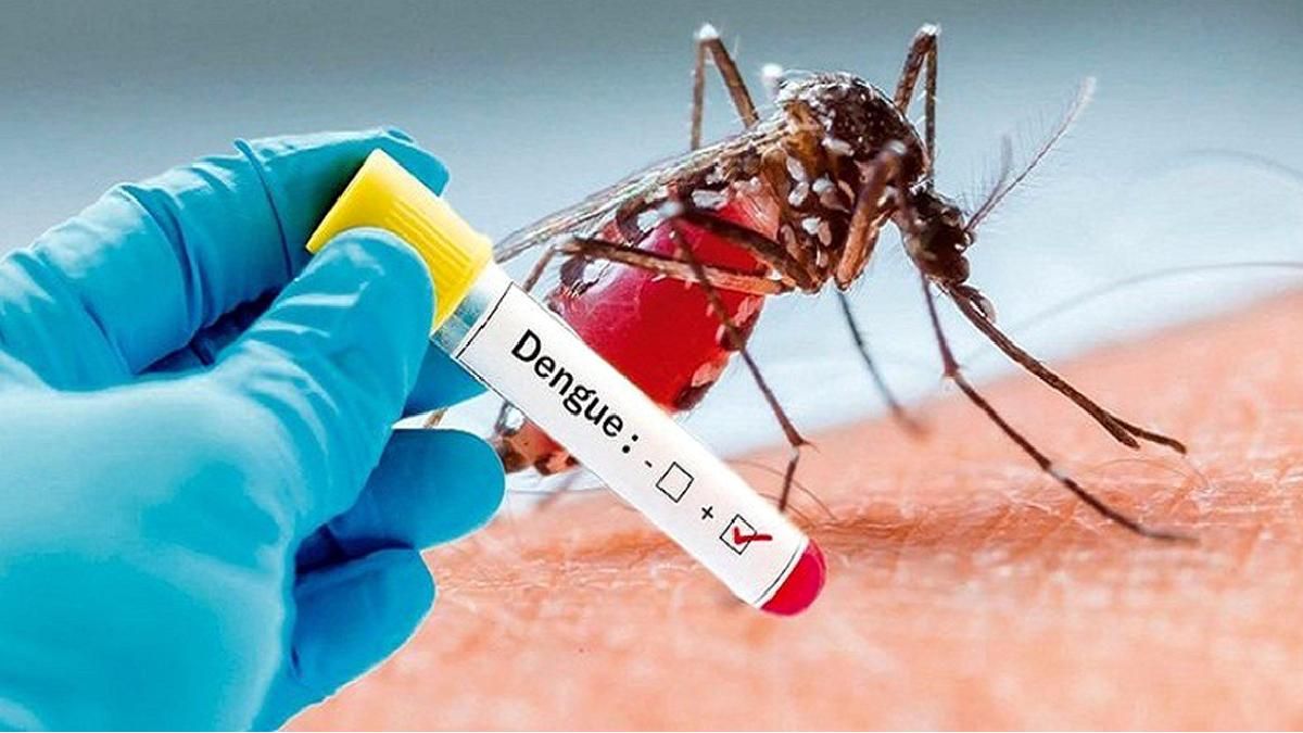 Tripura battles surge in dengue cases; 182 positive cases reported Tripura battles surge in dengue cases; 182 positive cases reported
