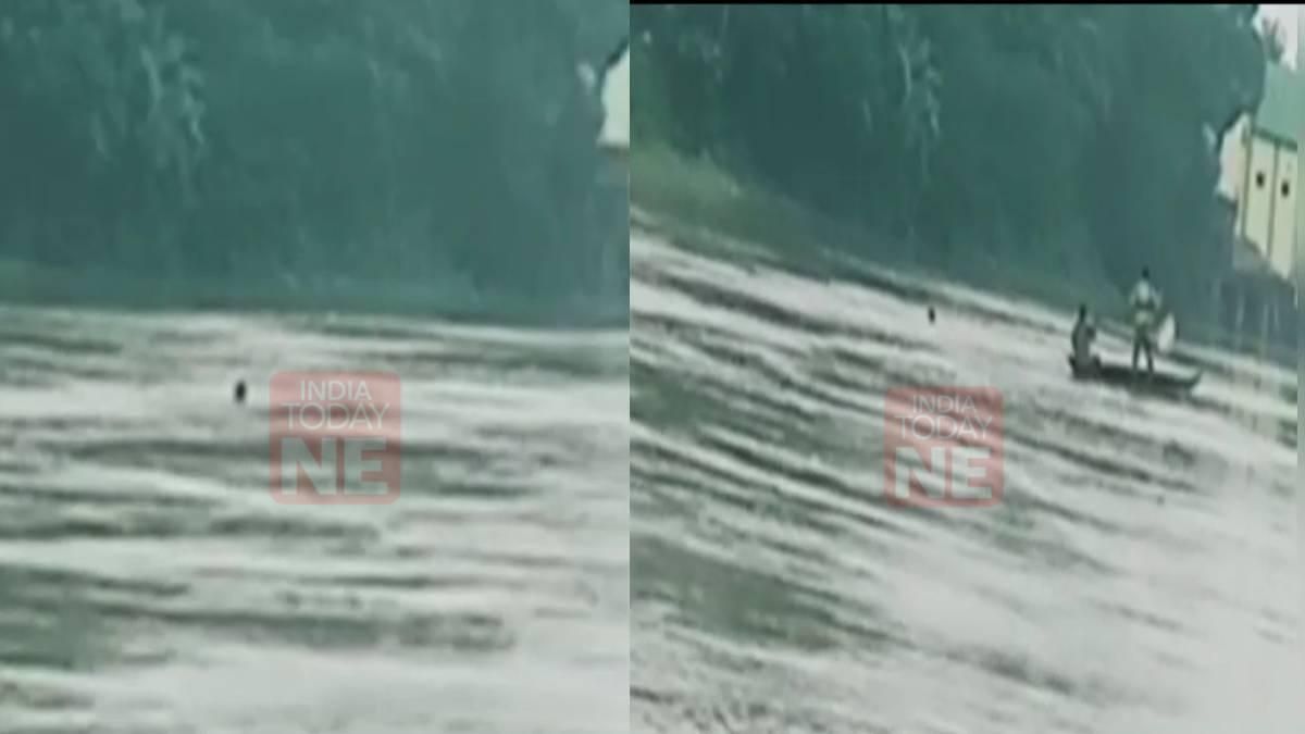 Youth allegedly entering Bangladesh from Assam after crossing Kushiyara river