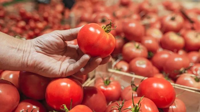 Tomato prices reduced by Centre