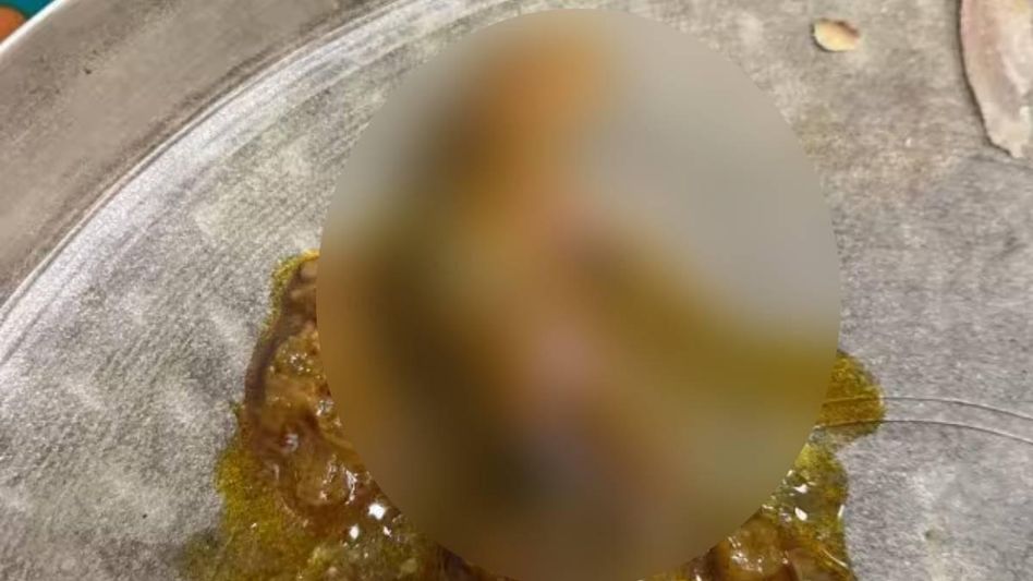 Mumbai: Man finds rat meat in food; restaurant manager, cook charged Mumbai: Man finds rat meat in food; restaurant manager, cook charged