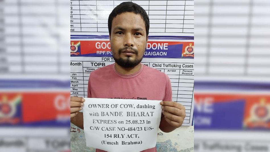 Assam: Vande Bharat Express rams into cow in Bongaigaon, cattle owner arrested Assam: Vande Bharat Express rams into cow in Bongaigaon, cattle owner arrested