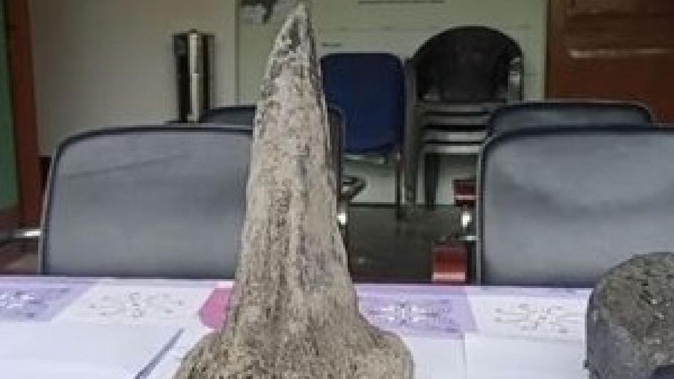 Assam: Lifeless body of male Rhino discovered in Manas National Park Assam: Lifeless body of male Rhino discovered in Manas National Park