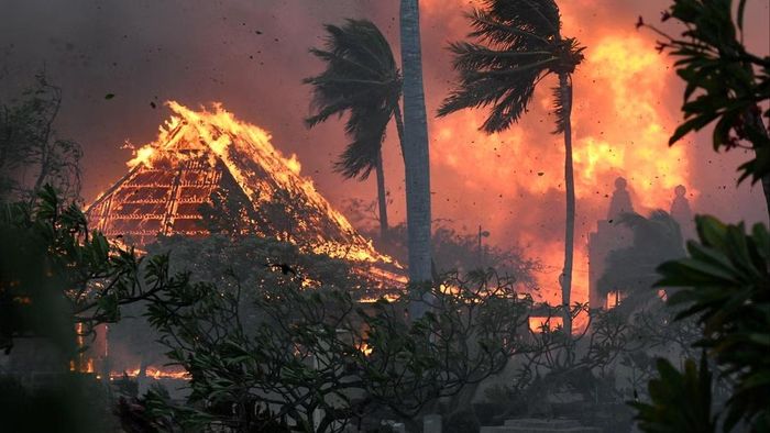 Death toll of Hawaii fires climbs to 55, 1000 people missing